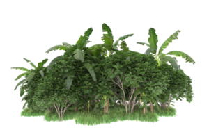 Realistic forest isolated on transparent background. 3d rendering - illustration png