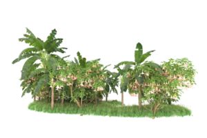 Realistic forest isolated on transparent background. 3d rendering - illustration png