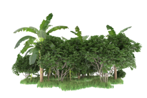 Realistic forest isolated on transparent background. 3d rendering - illustration png