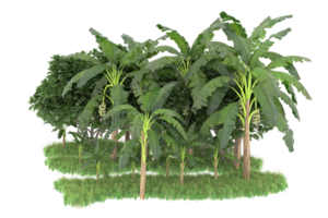 Realistic forest isolated on transparent background. 3d rendering - illustration png