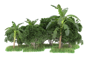 Realistic forest isolated on transparent background. 3d rendering - illustration png