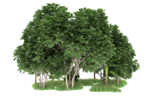 forêt réaliste isolée sur fond transparent. rendu 3d - illustration png