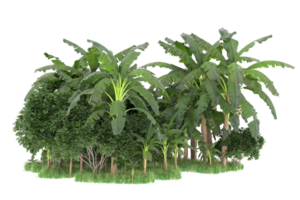 Realistic forest isolated on transparent background. 3d rendering - illustration png