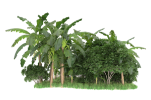 Realistic forest isolated on transparent background. 3d rendering - illustration png