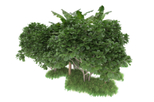 Realistic forest isolated on transparent background. 3d rendering - illustration png