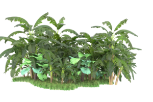 Realistic forest isolated on transparent background. 3d rendering - illustration png