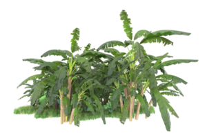 Realistic forest isolated on transparent background. 3d rendering - illustration png