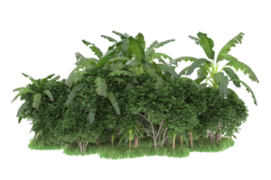 Realistic forest isolated on transparent background. 3d rendering - illustration png