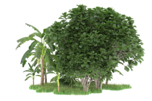 Realistic forest isolated on transparent background. 3d rendering - illustration png