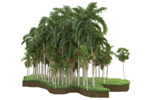 Realistic forest isolated on transparent background. 3d rendering - illustration png