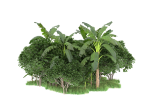 Realistic forest isolated on transparent background. 3d rendering - illustration png