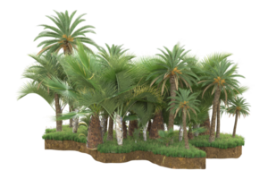 Realistic forest isolated on transparent background. 3d rendering - illustration png