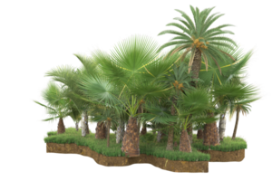 Realistic forest isolated on transparent background. 3d rendering - illustration png