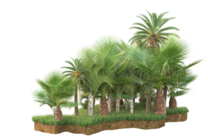 Realistic forest isolated on transparent background. 3d rendering - illustration png