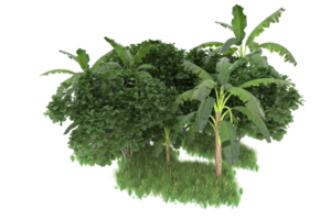Realistic forest isolated on transparent background. 3d rendering - illustration png