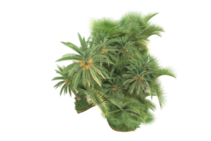 Realistic forest isolated on transparent background. 3d rendering - illustration png