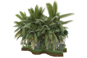 Realistic forest isolated on transparent background. 3d rendering - illustration png