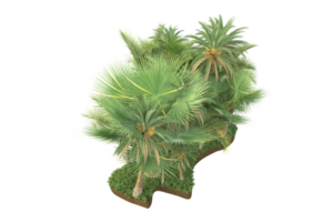Realistic forest isolated on transparent background. 3d rendering - illustration png