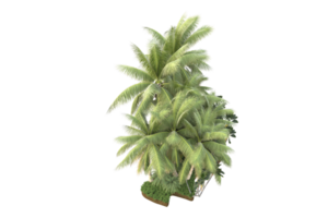 Realistic forest isolated on transparent background. 3d rendering - illustration png