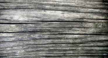 Texture of natural old wood with a cracks. Top view. Close-up. Selective focus. photo