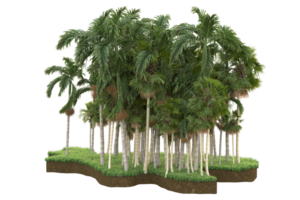 Realistic forest isolated on transparent background. 3d rendering - illustration png