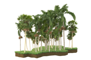 floresta realista isolada em fundo transparente. renderização 3D - ilustração png