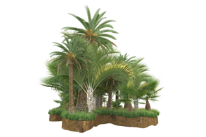 floresta realista isolada em fundo transparente. renderização 3D - ilustração png