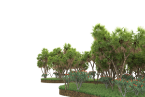 realistico foresta isolato su trasparente sfondo. 3d interpretazione - illustrazione png