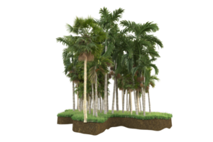 Realistic forest isolated on transparent background. 3d rendering - illustration png