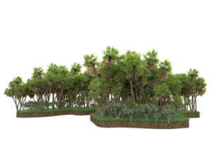 Realistic forest isolated on transparent background. 3d rendering - illustration png