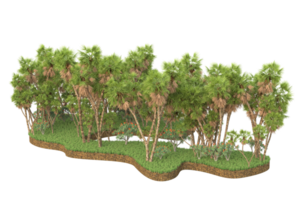 Realistic forest isolated on transparent background. 3d rendering - illustration png