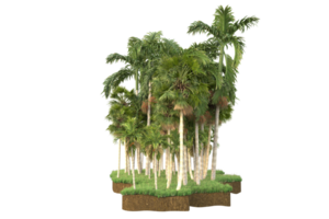 floresta realista isolada em fundo transparente. renderização 3D - ilustração png