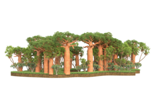 forêt réaliste isolée sur fond transparent. rendu 3d - illustration png