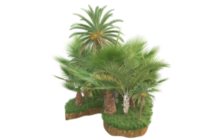 Realistic forest isolated on transparent background. 3d rendering - illustration png