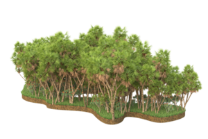 Realistic forest isolated on transparent background. 3d rendering - illustration png