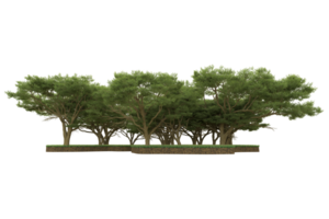 Realistic forest isolated on transparent background. 3d rendering - illustration png