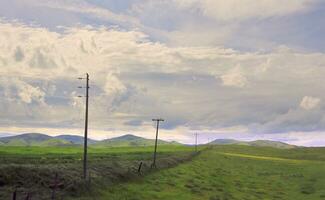 Telephone Poles Near Highway 5, California photo