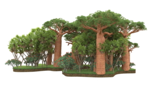 forêt réaliste isolée sur fond transparent. rendu 3d - illustration png