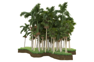 Realistic forest isolated on transparent background. 3d rendering - illustration png