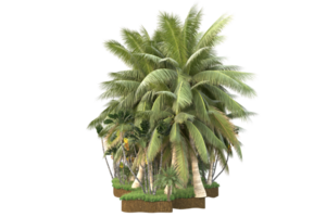 Realistic forest isolated on transparent background. 3d rendering - illustration png