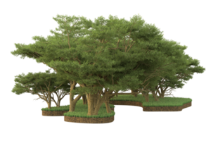 Realistic forest isolated on transparent background. 3d rendering - illustration png