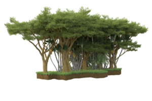 forêt réaliste isolée sur fond transparent. rendu 3d - illustration png