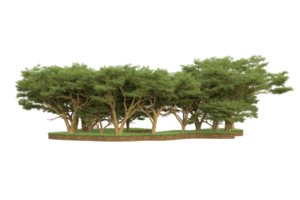 Realistic forest isolated on transparent background. 3d rendering - illustration png