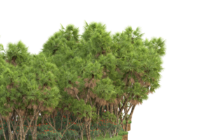 Realistic forest isolated on transparent background. 3d rendering - illustration png