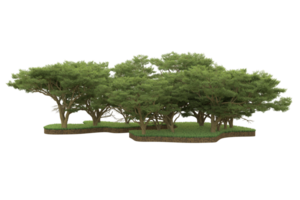 Realistic forest isolated on transparent background. 3d rendering - illustration png