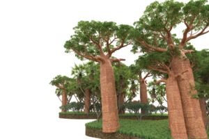 forêt réaliste isolée sur fond transparent. rendu 3d - illustration png