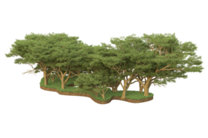 Realistic forest isolated on transparent background. 3d rendering - illustration png