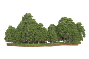 Realistic forest isolated on transparent background. 3d rendering - illustration png