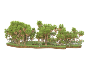 Realistic forest isolated on transparent background. 3d rendering - illustration png