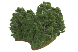 Realistic forest isolated on transparent background. 3d rendering - illustration png